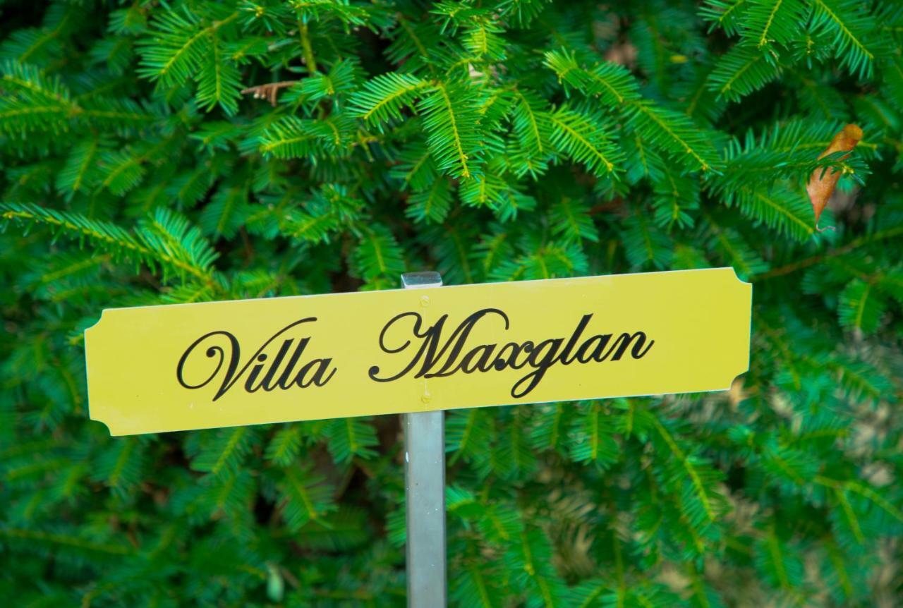 Villa Maxglan 잘츠부르크 외부 사진