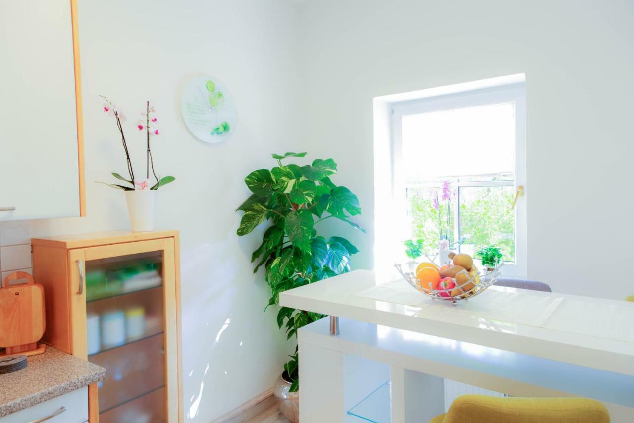Villa Maxglan 잘츠부르크 외부 사진