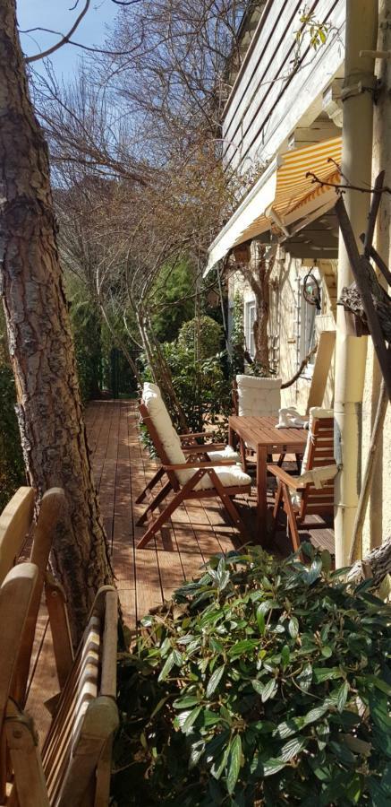 Villa Maxglan 잘츠부르크 외부 사진